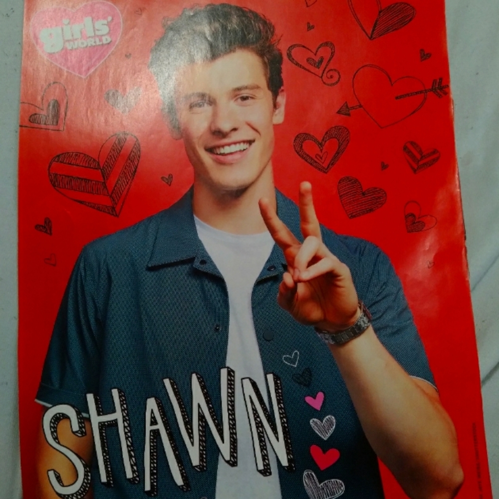 Girls' World Small Shawn Mendes Poster